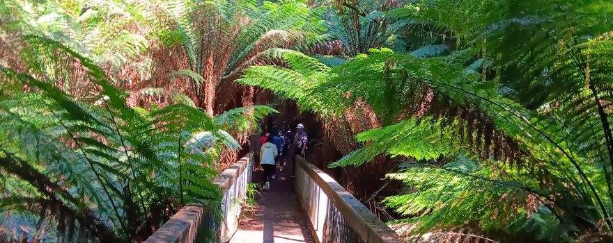 Melba Gully