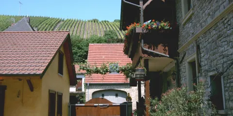 Weingut Clemens Frohlich