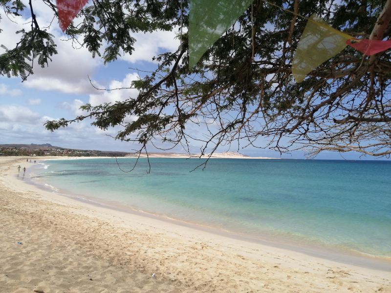 Reus to Boa Vista Flights
