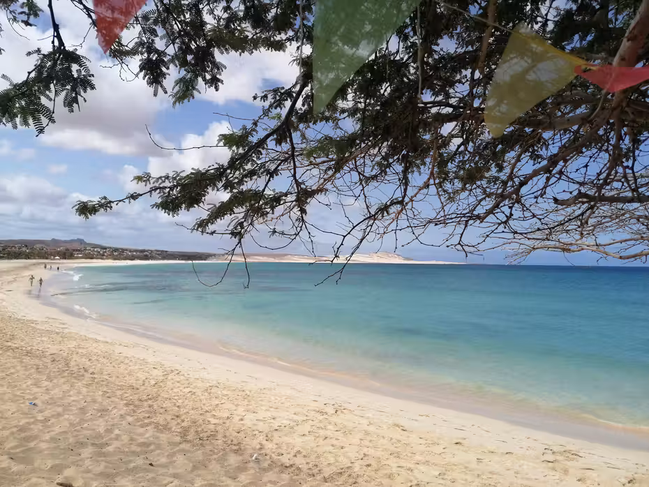 Loty Sofia Boa Vista