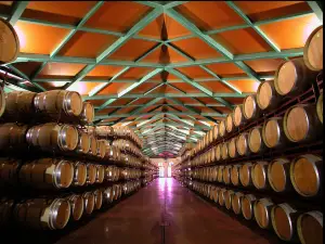 Grandes Vinos