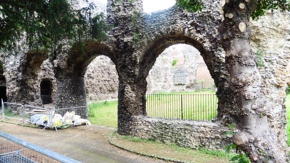 Terry's Reading Walkabouts