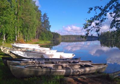 Kinnula
