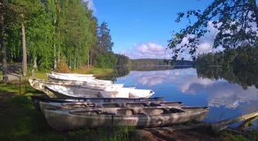 Kinnula