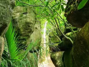 Labyrinth Rocks