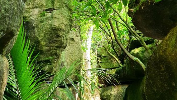 Labyrinth Rocks