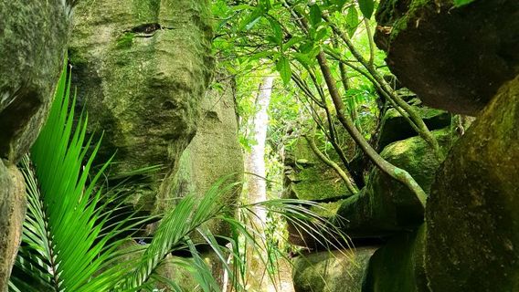 Labyrinth Rocks