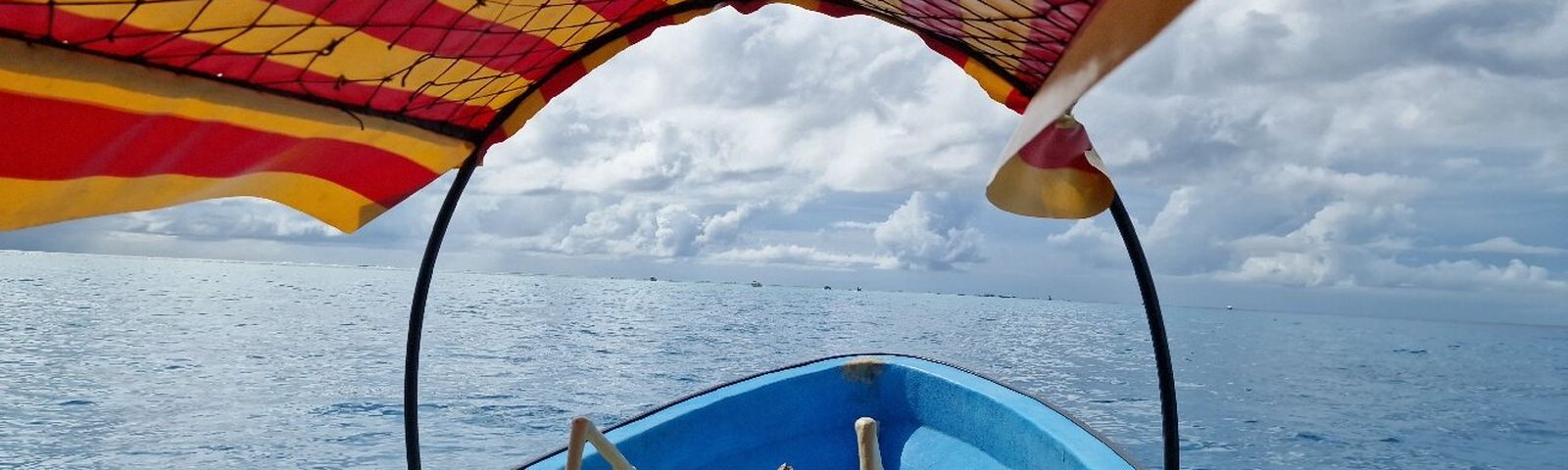 travel