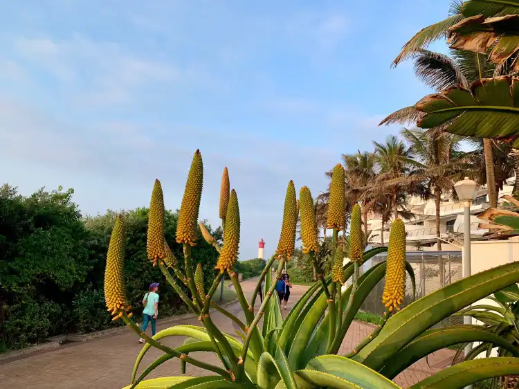 Hotels near Japanese Gardens