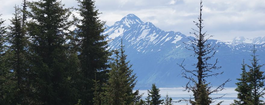 Diamond Ridge