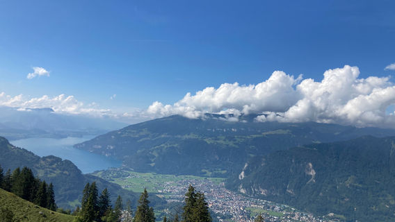 Wilderswil