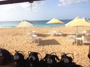 AAA Maio Diving