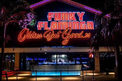 Funky Flamingo（ファンキーフラミンゴ）