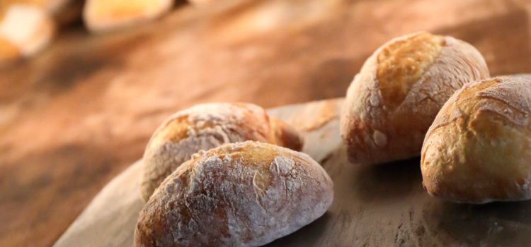 PANEVIA