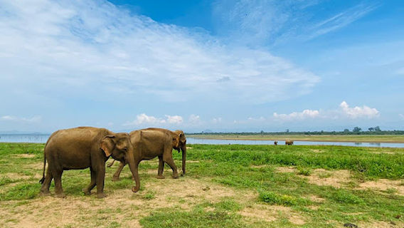 Udawalawa