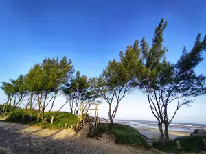 Praia Rainha do Mar