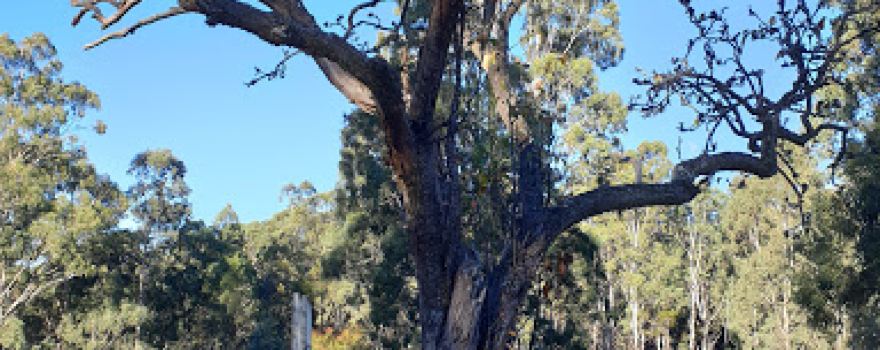 Yerranderie Regional Park