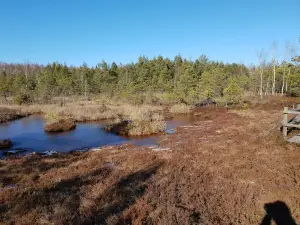 Raganu purva sēra dīķu dabas taka