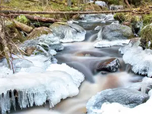 Kauhaneva-Pohjankangas national park