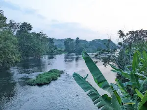 Crocodile Park