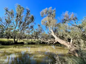 Bowenville Reserve