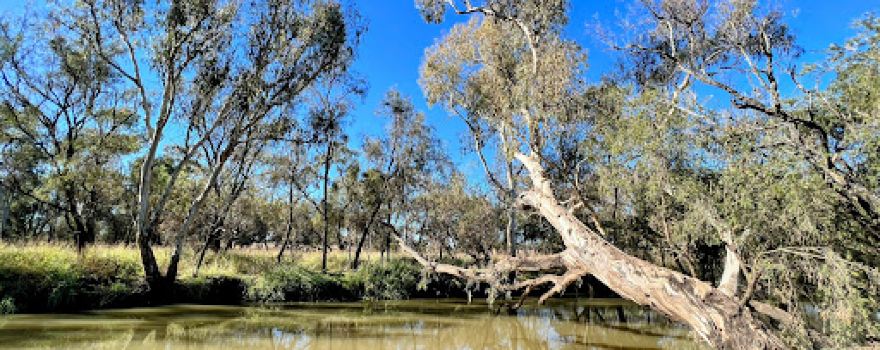 Bowenville Reserve