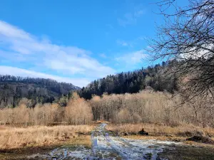 Vyzhnytsia National Park