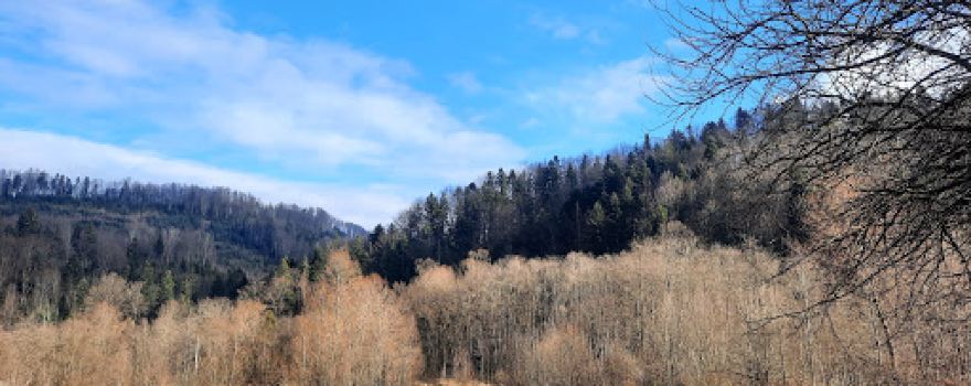 Vyzhnytsia National Park