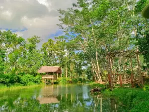 Paglinawan Organic Eco Farm