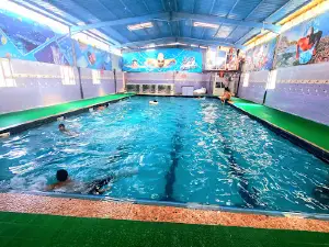 Dolphin swimming pool