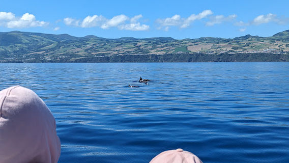Picos de Aventura - Animação e Lazer