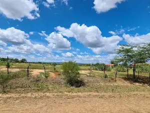 Parque De Vaquejada Sao Domingos