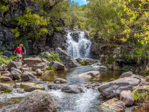 Levada do Alecrim