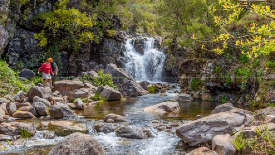 Levada do Alecrim