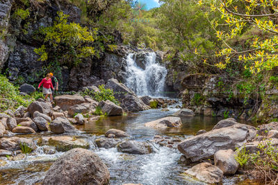 Levada do Alecrim