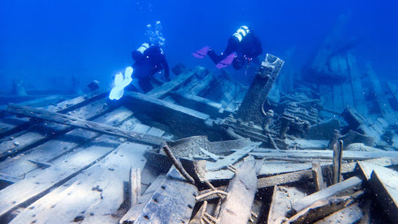Dive Life Tobermory