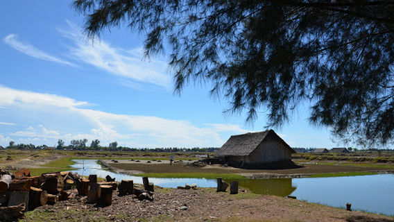 Pantai Mantak Tari