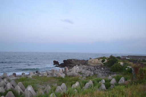 Shobutahama Public Beach
