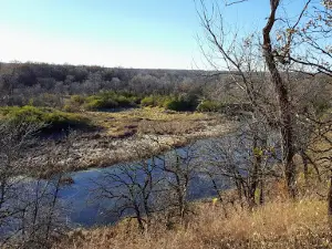 Mirror Pool Wildlife Management Area