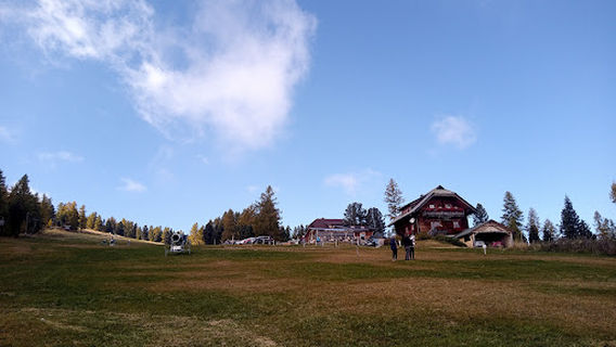 Im Reich von König Waldgeist