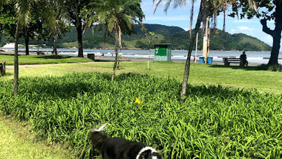 Praia Do Canal 5