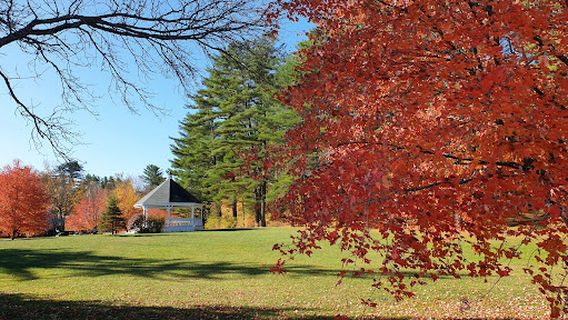 Bradley Park
