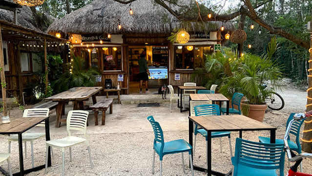 Bufo Alvarius Sanctuary