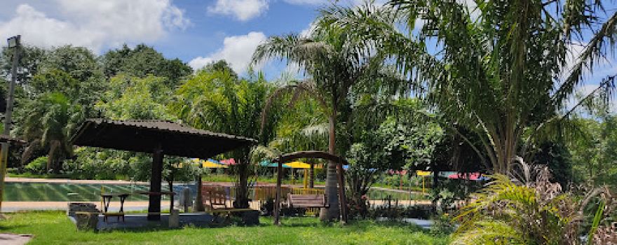 Paraíso das Águas - Pesqueiro e Balneário