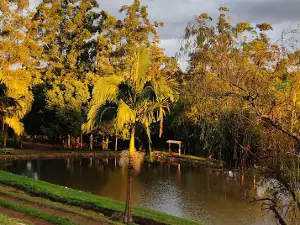 Fishing Jair