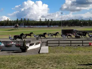 Vaggeryds Racetrack