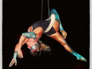 Meraki Circus