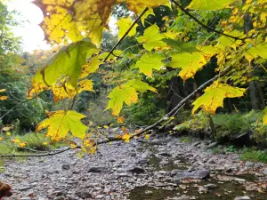 Hunters Creek County Park