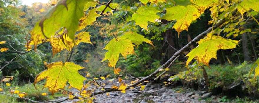 Hunters Creek County Park