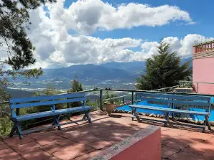 Divino Niño Constanza